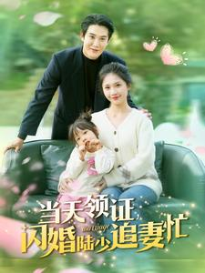 当天领证闪婚陆少追妻忙（80集）口碑之选免费看