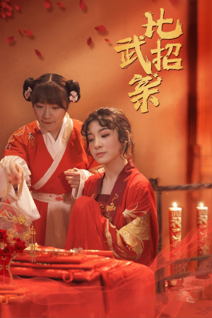 比武招亲（61集）精彩短剧天天看