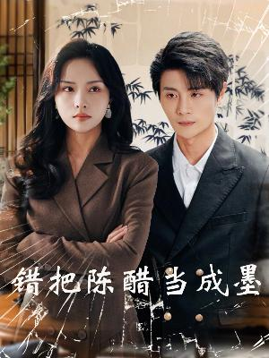 错把陈醋当成墨（29集）第二季