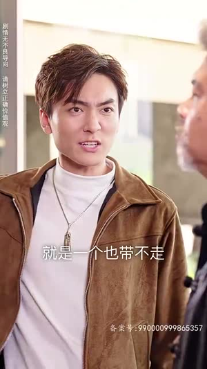 九州天龙（100集）常回家看看短剧