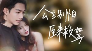 公主别怕，臣来救驾（90集）不用花钱看全剧