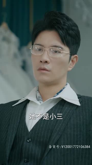 前妻乖巧人设崩了（100集）全集下载