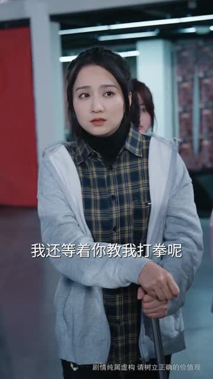双骄夫妇（65集）完整版