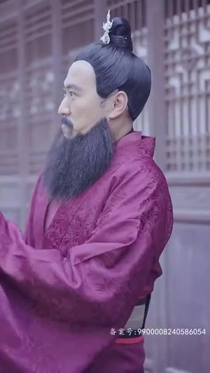 魂穿霸婿（80集）亿万短剧抢先看
