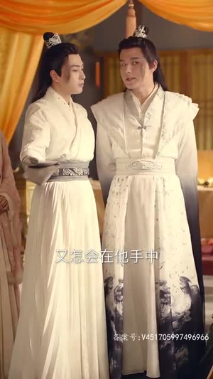 穿书后公主爱上我（93集）演员表