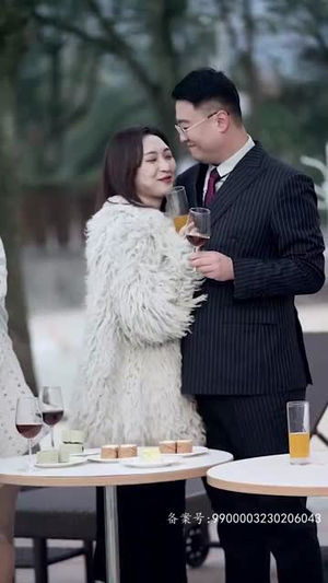 太阳照不到的地方（30集）演员表