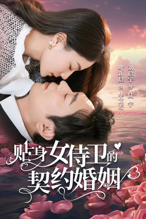 贴身女侍卫的契约婚姻（91集）在线看到大结局