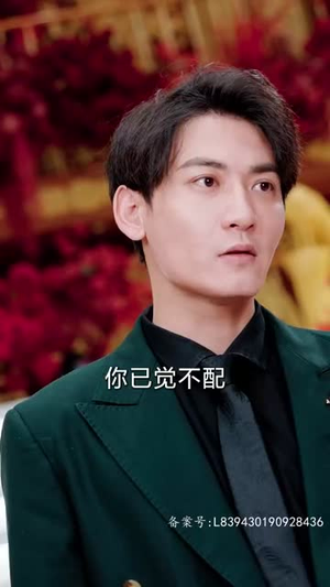 教父（87集）热门短剧追不停