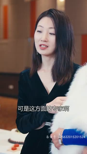特工夫妇（82集）短剧