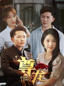 新版：尊龙（97集）短剧有好货推荐