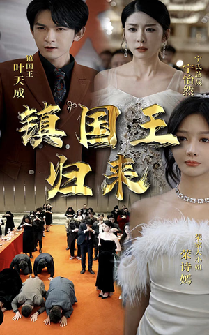 镇国王归来（95集）高清画质免费看