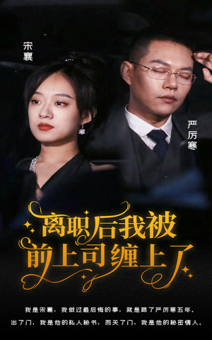 离职后，我被前上司缠上了（100集）短剧