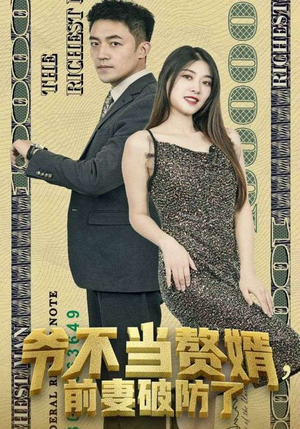 爷不当赘婿，前妻破防了（80集）完整版