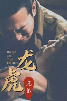 龙虎兄弟（80集）精彩热门短剧