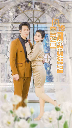 闪婚幸运草的命中注定（82集）演员表