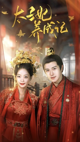 太子妃养成记（97集）最新上映免费看