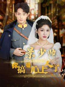 景少帅你搞错心上人了（100集）免费看短剧全集