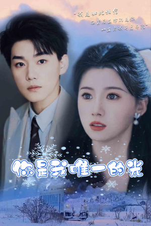 你是我唯一的光（95集）高清画质免费看