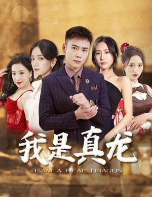 我是真龙$身份曝光后，丈母娘悔疯了（79集）免费短剧看不停