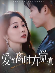 爱至离时方觉真（101集）短剧解说热门
