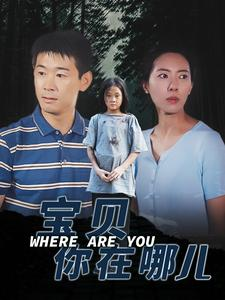 宝贝你在哪儿（30集）在线看到大结局