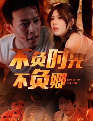 不负时光不负卿（33集）红果免费短剧