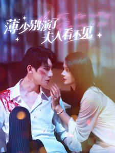 薄少别演了夫人看不见（86集）演的怎么样