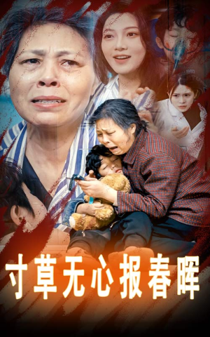 孝子慈孙（31集）网盘在线观看