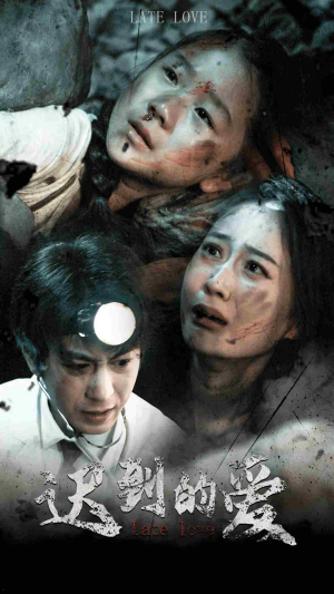 迟到的爱（48集）免费观看全集