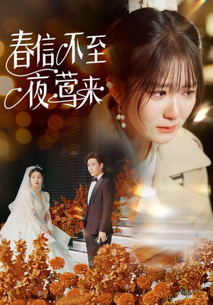 春信不至夜莺来（50集）古代短剧推荐