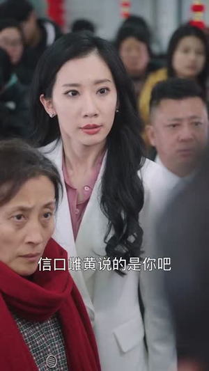 春运归途团圆年（40集）短剧追到爽