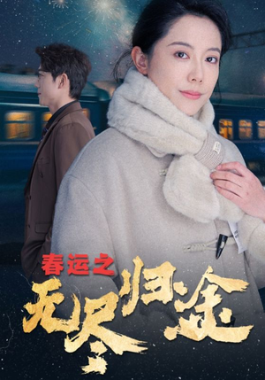 春运之无尽归途（49集）在线看到大结局