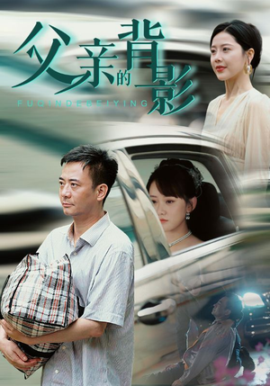 父亲的背影（70集）全季一次看完