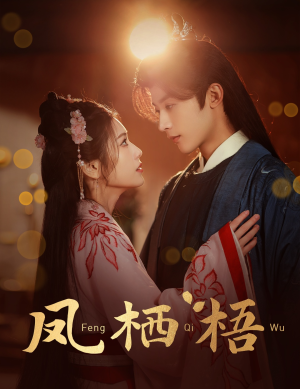 凤栖梧（60集）第三季
