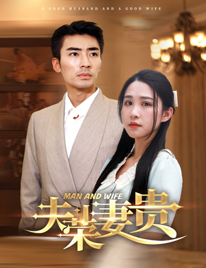 夫荣妻贵（79集）热门短剧在线看
