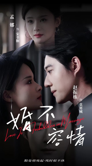 婚不容情（89集）热播短剧全集看