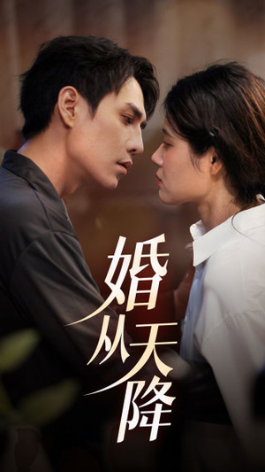 婚从天降（92集）短剧热播中