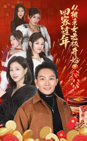 回家过年从相亲女老板开始（64集）最新短剧推荐
