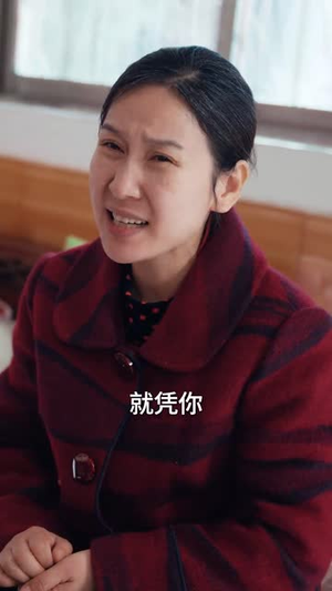 回家过年遇到极品亲戚（29集）剧情简介