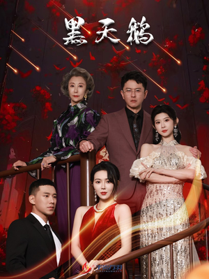 黑天鹅（51集）短剧