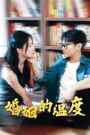 婚姻的温度（102集）短剧热门合集