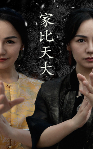 家比天大（63集）温柔追捕短剧