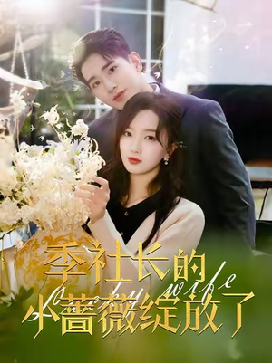 季社长的小蔷薇绽放了（60集）原创精彩短剧