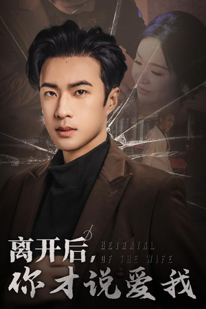 离开后，你才说爱我（30集）河马免费短剧