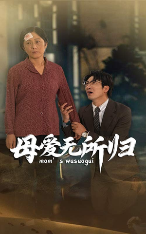 母爱无所归（33集）热播短剧全集看