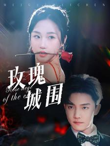 玫瑰城围（78集）全集我都看完了