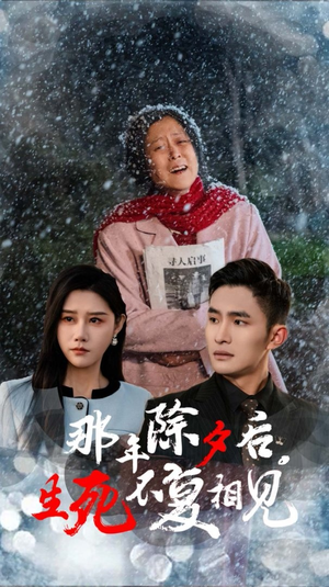 那年除夕后生死不复相见（48集）夸克在线观看