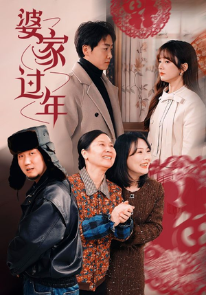 婆家过年（71集）最后一集
