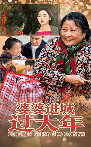 婆婆进城过大年（33集）短剧推荐分享