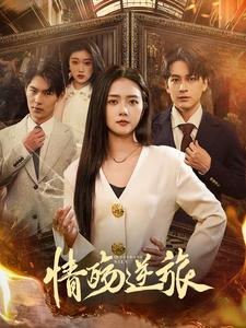 情殇逆旅（90集）评价怎么样